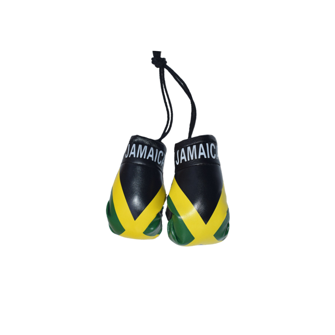 Mini Boxing Gloves (JAM)
