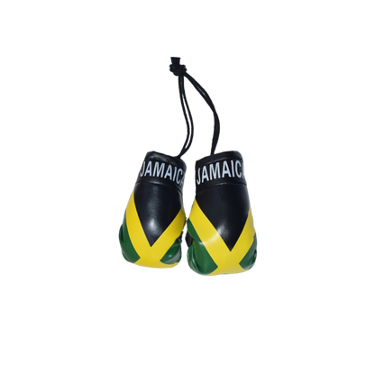 Mini Boxing Gloves (JAM)