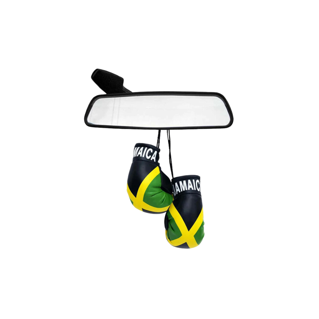 Mini Boxing Gloves (JAM)