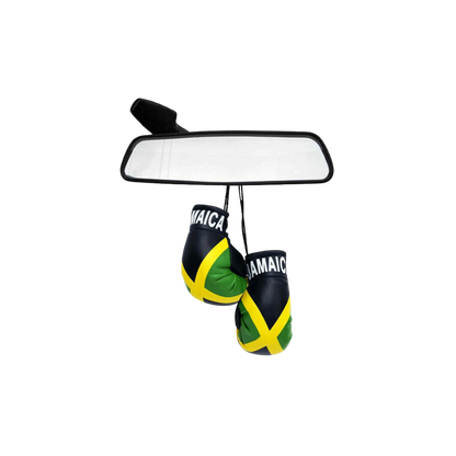 Mini Boxing Gloves (JAM)